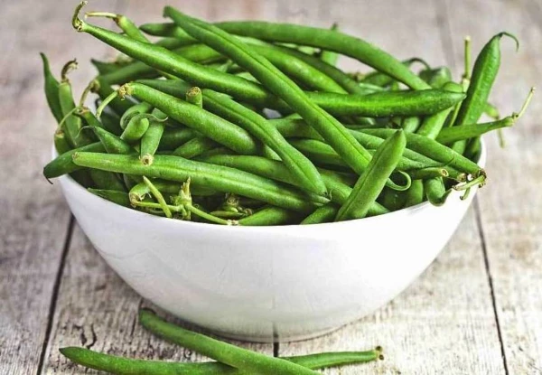 Qatar's Green Bean Imports Fall to $3.4 Million in 2023